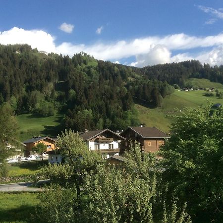 Appartement Kitzbuheler Alpen Penthouse Hollersbach à Hollersbach im Pinzgau Extérieur photo