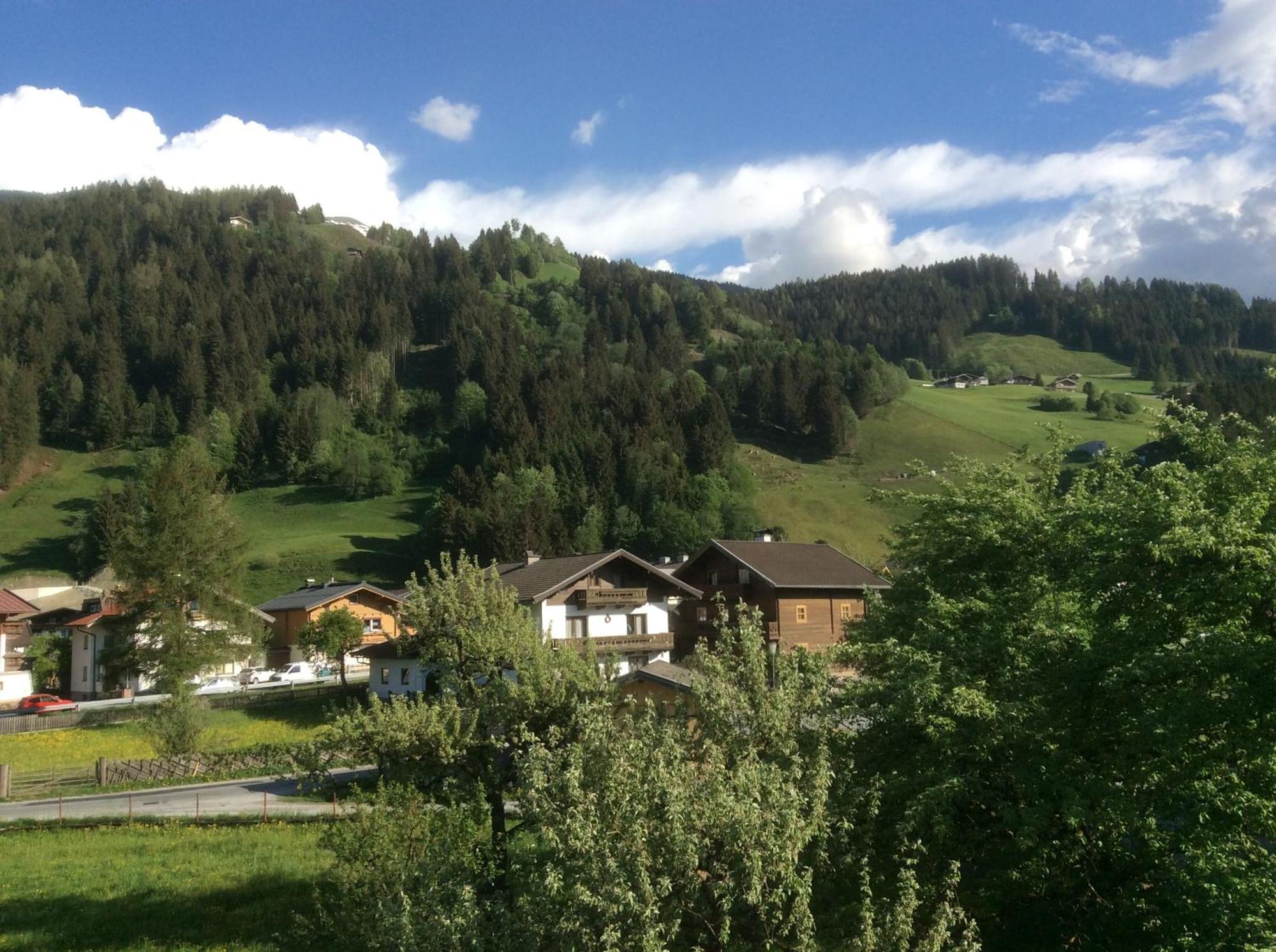 Appartement Kitzbuheler Alpen Penthouse Hollersbach à Hollersbach im Pinzgau Extérieur photo