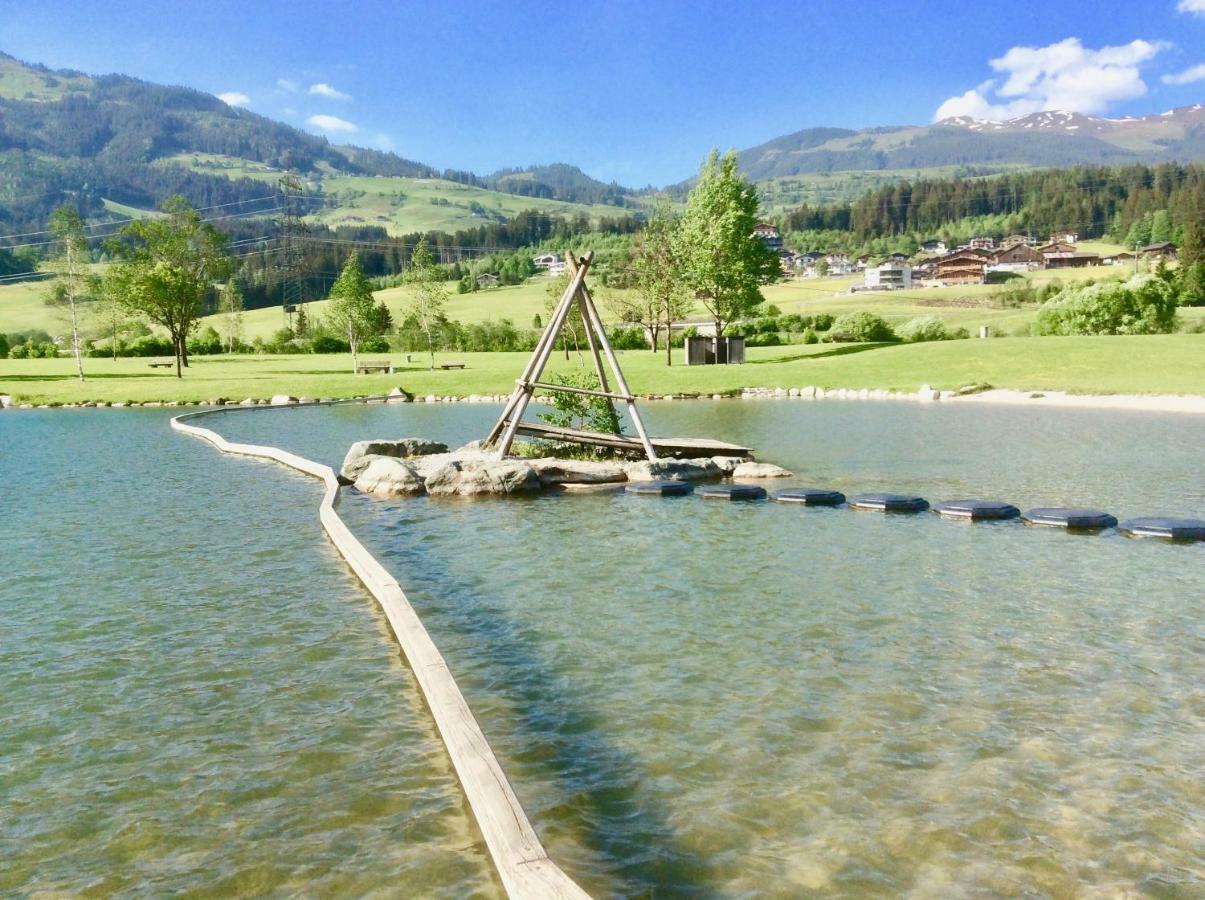 Appartement Kitzbuheler Alpen Penthouse Hollersbach à Hollersbach im Pinzgau Extérieur photo